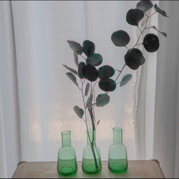 Other - Three bud vases 🌱🌱🌱